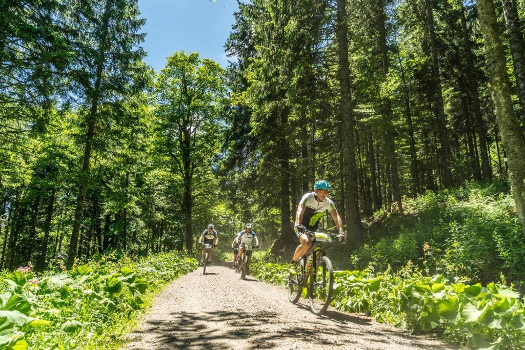 Waldoase Titisee Buitenkant foto