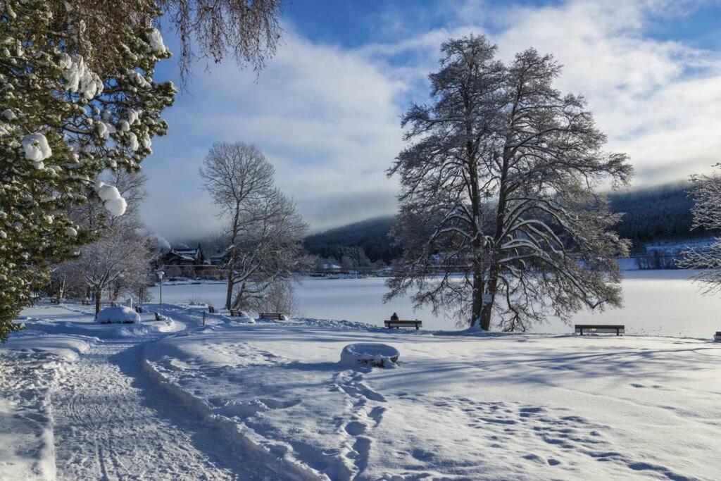 Waldoase Titisee Buitenkant foto
