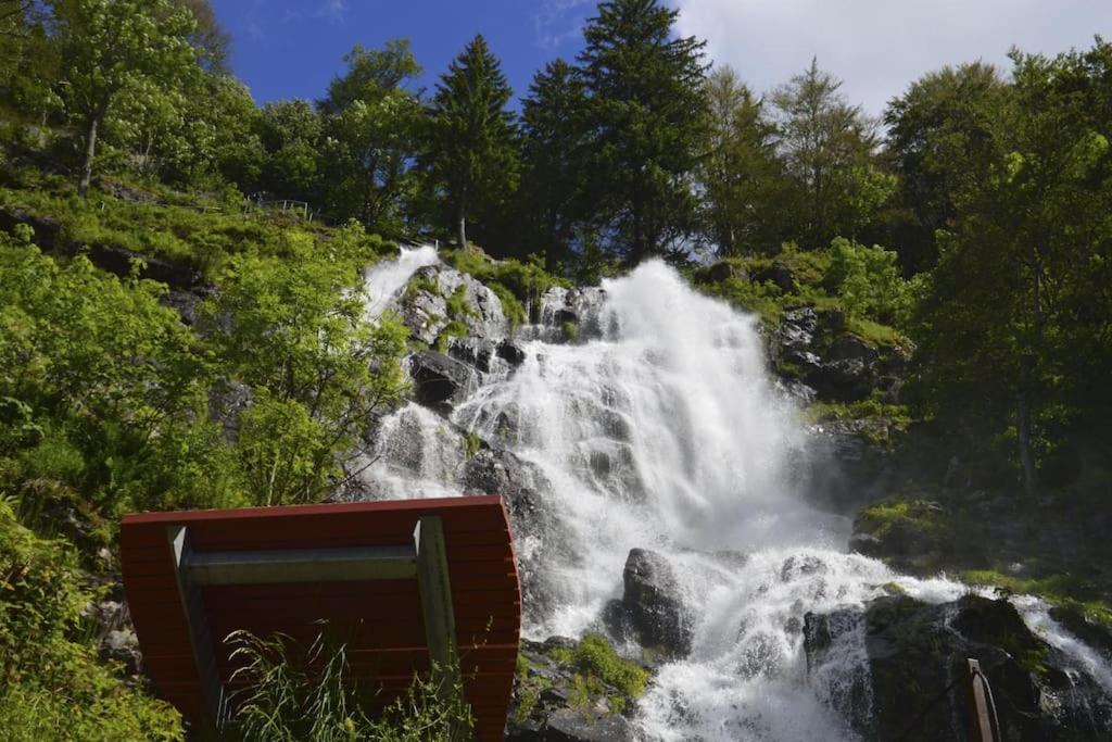 Waldoase Titisee Buitenkant foto